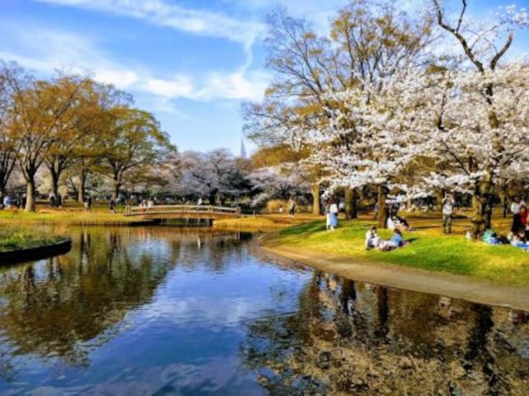 Yoyogi Park-4
